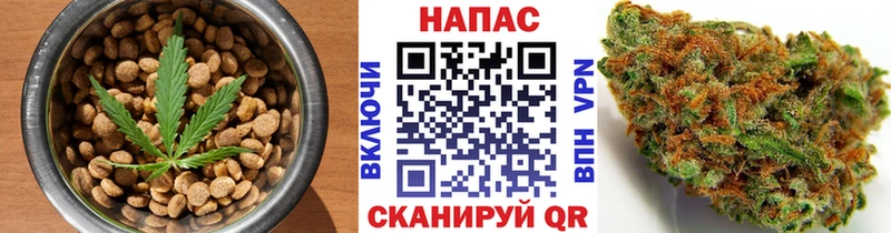 Купить где  Пласт  Cannafood конопля 