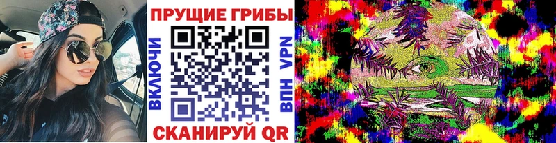 Купить  Пласт  Галлюциногенные грибы Cubensis 